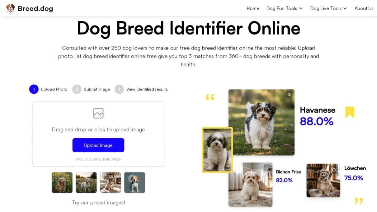 Breed.dog - AI Dog Breed Identifier